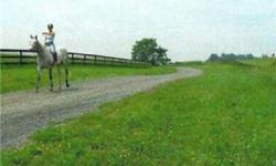 ALREADY SUB-DIVD IN 10+ ACRES LOT IN CULPEPER,VA. EXISTING WELL,SITE. PERKED. IDEAL FOR RAISING HORSES, START YOUR ORGANIC FARMING, OR VINEYARD AND BUILD YOUR DREAM HOME AND RANCH. MAGNIFICENT VIEWS CLOSE TO MAJOR ROADS AND MINUTES TO WASHINGTON DC. 2