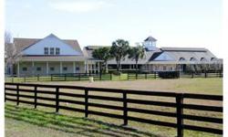 Designed for the serious horseman. Property incl. 2 large barns, office suites, and 2 houses. Multitude of fenced pastures and horse farm ammenities. Home A is a beautifully updated 3/2, approx. 1667 sq'. Home B is a spacious 3/2, approx. 2154 sq'.