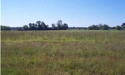Wingate Subdivision is in a great location 20 minutes to Huntsville, 15 minutes to Athens, & only 5 minutes to Interstate 65. This is a great place to build your dream home.
Bedrooms: 0
Full Bathrooms: 0
Half Bathrooms: 0
Lot Size: 0.38 acres
Type: Land