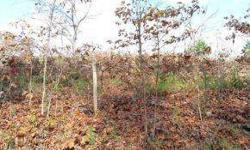 Excellent 5 acre single family building site.Listing originally posted at http