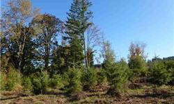 What a beautiful place to build your home - take a look at this 23Â± acre parcel. According to Marion County Planning Dept, this property has been approved for 3 building sites under Measure 49. Buyer to complete own due diligence with all governing