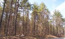 Two abutting wooded lots offered as a package. Parcels provide 1189' road frontage and total 7.2 acres. Driveway access already completed. Location ideal for primary or second home. Danforth Bay lake access and Lake Ossipee Marina nearby. Also just a