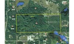****** 60 +/- ACRES******* BEAUTIFUL NATURAL LAND IN RURAL SEMINOLE COUNTY. PRICED WELL BELOW APPRAISED VALUE. PROPERTY BELIEVED TO BE CURENTLY ZONED FOR 1 HOUSE. BUYER/BUYER AGENT TO VERIFY WITH COUNTY ALLOWED USAGE OF PROPERTY. PROPERTY APPEARS TO BE
