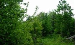 Located just 2 miles from Grafton Pond this parcel would be great for camping and recreation. Telephone runs by, Power is located down the road, .5 mile+/-' Wonderful south westerly views for sunsets, year round brooks, mixture of hardwoods and softwoods.