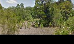 THIS SATURDAY AUGUST 11TH, BID AND WIN ON THIS GREAT PIECE OF LAND IN BEAUTIFUL PUNTA GORDA, FLORIDA!! Vacant Lot Lot Dimensions