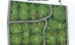 Beautiful 3.9 acre residential lot being offered in great neighborhood. Ready for your dream home. Choose your own builder (contigent upon sellers review) or choose a custom building package through Cork County Builders! Requires on lot septic and well.