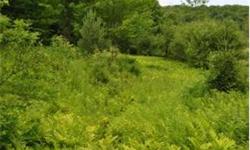 Permitted building lot on gravel road only 1/4 mile to Route 12; Approved septic design in place; old pasture with recent growth; wild apple trees, private setting with easy access to Woodstock, Quechee, Hartland & Upper Valley; Septic design is
