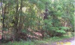 Beautiful wooded lot near Magnesia Springs. Will allow a mobile home (to be confirmed by Alachua County) Seller is a real estate broker from out of the area.
Bedrooms: 0
Full Bathrooms: 0
Half Bathrooms: 0
Lot Size: 0 acres
Type: Land
County: Alachua
Year