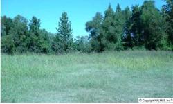 Approx. 5.15 acres inside Decatur City limits. Aprox. 354 ft. of frontage on Hwy 24. Another 13.3 acres is available that is in back of this tract.
Bedrooms: 0
Full Bathrooms: 0
Half Bathrooms: 0
Lot Size: 5.15 acres
Type: Land
County: Morgan
Year Built: