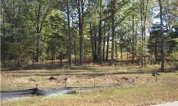 Bedrooms: 0
Full Bathrooms: 0
Half Bathrooms: 0
Lot Size: 4.51 acres
Type: Land
County: Shelby
Year Built: 0
Status: Active
Subdivision: BENTBROOKE HILLS PH3
Area: --
Utilities: Description: Public Water, Electricity, Septic Tank, Natural Gas, Telephone