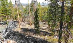 Build your cabin in the woods here. Walk to Forebay and National Forest. Adjacent lot is available as well. This subdivision is a recreational enthusiasts dream!
Listing originally posted at http