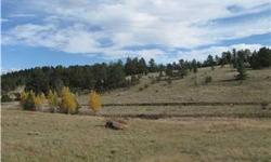 This property boasts twenty wonderful mountain acres. The property backs to open space. The property is dotted with rock out cropping, aspen, and old growth pines. The property is located close to National Parks, Eleven Mile lake, Cripple Creek, and