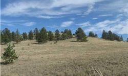 Wonderful twenty acres of mountain property. This property is dotted with old growth Aspen and Pine trees and backs to open space. The property is located close to the towns of Guffey, Cripple Creek, and Canyon City. This property is also close to a