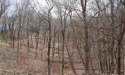 Peaceful country subdivision. Choose your building location. From total seclusion in the woods to sloping acreage for an exposed basement. Very few subdivision restrictions. In the heart of the Kettle Moraine State Forest. A short hike from numerous