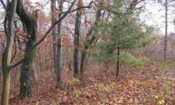 Wooded 1.25 acre parcel located just outside of Lyndon Station. Property does currently have an older home on it with little value. Bring your plans and build your new home or weekend retreat.Taxes