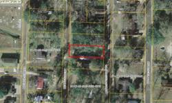 MARIANNA, FL REAL ESTATE FOR SALE. FOR MORE INFO CALL DEBBIE RONEY SMITH DIRECT 850.209.8039 OR EMAIL debbieroneysmith@embarqmail.com City lot close to I-10, schools, shopping, hospital, college. City water & sewer available. Established neighborhood. MH