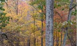 MOOREFIELD AREA Located in ASHTON WOODS. Beautiful large wooded parcel. This property offers lots privacy with a sense of community. Build your dream home or Mountain get away. An additional 26+ acres next door also for sale. Will sell both lots together