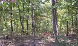 Easy access from Corridor H when next section is open ---current access is from Route 220 just north of Moorefield--Trailers and Doublewides OK---several building sites and this lot is priced to sell---With trees you'll have some privacy or cut to your