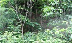 Two acre wooded parcel. 525 feet of frontage on Filmore road. This property is steep at the road (not a cliff). Would require heavy equipment to make access road. great recreational area, hunting, hiking, close to snowmobile trails.
Listing originally