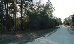 This nicely treed parcel will provide the perfect site for your manufactured or site built home. Conveniently located just 10 minutes from local shopping and within 30 minutes to Ocala, Gainesville, Dunnellon, Crystal River and Gulf of Mexico. For more