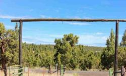 13.7 Acres with beautiful mountain & valley views. Located in Ironwood Estates with paved road to the property from Prineville as well as septic approval, power at the property line & well. Build your dream home among other high quality homes with the