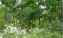 SECLUDED MOUNTAIN PARADISE CLOSE TO PA TURNPIKE. 5 ACRES WITH MORE AVAILABLE, BUILDER OWNED, BUY NOW & BUILD LATER OR CUSTOM BUILD, SEPTIC PERMITS TO BE RELEASED SOON. THIS LOT IS TO BE SUBDIVIDED OFF OF A LARGER TRACT. LOT #1
Bedrooms: 0
Full Bathrooms: