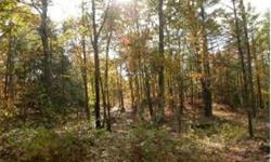APPROVED RESIDENTIAL LOT ABUTTING EXCLUSIVE NEWFIELDS SUBDIVISION. BEAUTIFULLY WOODED, PRIVATE LOT OF 4 PRISTINE ACRES. EXCELLENT FOR A YEAR ROUND HOME OR GETAWAY RETREAT. LEVEL & GENTLY ROLLING LAND. UNDERGROUND UTILITIES.STONE WALLS. PERC TESTS. QUIET