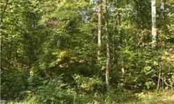 Undeveloped land
Bedrooms: 0
Full Bathrooms: 0
Half Bathrooms: 0
Lot Size: 7 acres
Type: Land
County: STAFFORD VA
Year Built: 0
Status: Active
Subdivision: RAPPA RIVER
Area: --
Utilities: Well Permit Not Applied For; None;
Taxes: 588.0
Status: Active