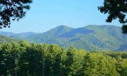 OPPORTUNITY?..OPPORTUNITY?.OPPORTUNITY! Will sell ? swap ?trade anything of value as an exchange on the best mountain lots in North Carolina. You may also trade anything of value as a down payment and we will finance the balance. If you own a house, land,
