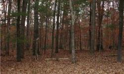 Lender-owned foreclosure property. Three adjoining building lots just off Lahore Road. Priced at $40,000 each. Each lot is 2.00 Acres or slightly more. Lots are wooded, rolling terrain, and a private gravel road is in place.
Bedrooms: 0
Full Bathrooms: 0