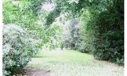 LOCATION,LOCATION,LOCATION!!! Come see this beautiful, private wooded lot in the heart of old Clermont. This property is located on a quiet street with partial views of Lake Minnehaha. Build a beautiful new home on this gorgeous property in a desirable,