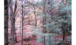 Great Location! Not many parcels of land on the market in Richmond. Nice, wooded, hilly terrain with stream and pond. Several building sites possible with plenty of privacy and nature surrounding you. Easy commute to Richmond Village, I89 and Burlington.