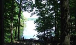 Wooded lot area by lake to build a home with view of lake. Lot is at the north end, idle zone area, of Raccoon Lake within ten minutes of the speed area. Lot is almost 3 acres with hills and hollers - wonderful for adventuring. Area by lake for seawall.