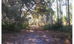 180+/- acre untouched natural Florida. Currently the property is used for cattle grazing. There is also a large population of Osceola Turkey and White Tail Deer. NO HOA!! Peaceful and uncrowded surroundings. Please call listing agent for details on