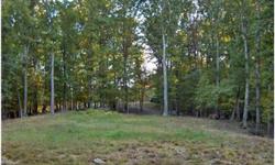 Beautiful Southern Washington County is the location of this 11.70-acre building lot. Located in a non-growth zone, which guarantees limited development surrounding this area. The lot is improved with a building site, driveway is installed, well is in
