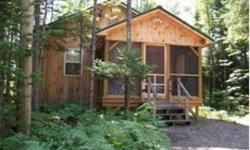 This year round cabin get-a-way is very energy efficient. Located on a 12.5+/- acre lot also has a capped footing for another cabin ready to be completed. Water and Sewer are ready to serve both cabins. Sold with website for a rental business with