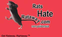 1. What is Rataway Fragrance
2. Rataway fragrance is a natural liquid deodorant that has been successful in preventing odors caused by rats, mice, squirrels, dogs, cats, raccoons, opossums, horses and other small rodents that infest and chew on wood,
