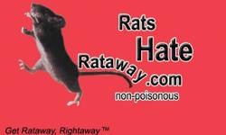 1. What is Rataway Fragrance2. Rataway fragrance is a natural liquid deodorant that has been successful in preventing odors caused by rats, mice, squirrels, dogs, cats, raccoons, opossums, horses and other small rodents that infest and chew on wood,
