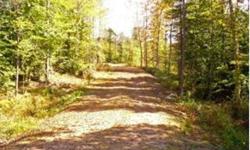 This large parcel of land is located just 10-15 mins north of Keene. It has appox 1300' of road frontage on a town paved road. There is also a good interior gravel road system terminating at an open meadow. There are streams, views, multiple building
