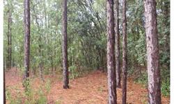 BANK OWNED lot in Marion Oaks! Seller can reply QUICK on all OFFERS! This lot measures approximately 82x125 to total almost 1/4 OF AN ACRE! The property is heavily WOODED to offer great privacy! The property offers convenient access to SW HWY 484 and and