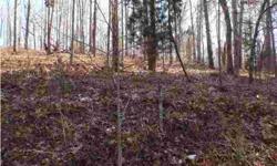 If you are looking for a great place to build your first or next home take a look at this. This lot is located directly across the street from Lake Logan Martin. In the winter you have a great view of the water. Ownership of this lot comes with usage of