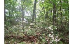 Nice tract of land with two building sites fronts on county road and within 5 minutes to 4 lane highway nice deer trails good place to hunt
Bedrooms: 0
Full Bathrooms: 0
Half Bathrooms: 0
Lot Size: 5.33 acres
Type: Land
County: GRANT WV
Year Built: 0
