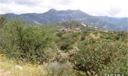 Awesome 360 degree views in custom home area. Privacy in a low density area one home per 4 acres. Rolling hills with pristine desert growth high in the foothills of the Catalina Mountains. LA topography map. OWNER FINANCE POSSIBLE! SUBMIT!
Bedrooms: 0