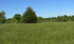 Very pretty 3 acre building site. This has 2 acres of pasture and 1 acre wooded. Joins a paved road and has a buffering of woods for privacy. The land is level to gently rolling and is non restricted so mobile homes are ok. Only 10 miles west of Ava on 76