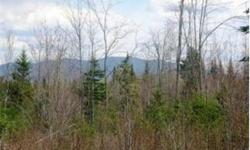 7.07+/- acre lot in Northwoods Estates. There are only 20 lots available, the roads are paved utilities are underground, public water and sewer access are at each lot! Enjoy snowmobiling in the winter or golf in the summer just down the road. The buyer
