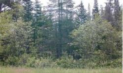 Large wooded lot with potential views in a scenic area close to Whitefield local airport and not far from Forest Lake State Park. Loggers, this is the lot for you, check it out.
Bedrooms: 0
Full Bathrooms: 0
Half Bathrooms: 0
Lot Size: 16.5 acres
Type: