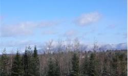 2.65+/- acres ready to build your home on. All utilities are underground,public water and sewer access to each lot! Enjoy snowmobiling in the winter or golf in the summer just down the road. Buyer is responsible for paying current use change tax.