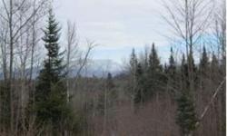12.95+/- acre lot in Northwoods Estates. There are only 16 lots available, the roads are paved utilities are underground, public water and sewer access are at each lot! Enjoy snowmobiling in the winter or golf in the summer just down the road. The buyer
