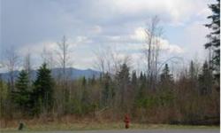 1.75+/- acre residential building lot in Northwoods Estates. All of the lots have underground utilities, public water and sewer. Paved roads are in too so all you need to do is clear some trees and build the house. Enjoy snowmobiling in the winter or golf