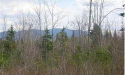 6.44+/- acre lot in Northwoods Estates. Town water, town sewer. Northwoods Estates has it all, including views and paved roads. Just down the road from the Mountain View Grand Hotel this 200+ acre subdivision has something for everyone. Enjoy the finest